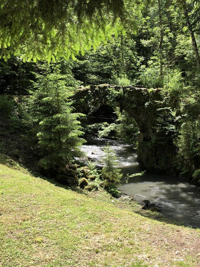 Le Moulin Des Olirics Villa Sallanches Bagian luar foto