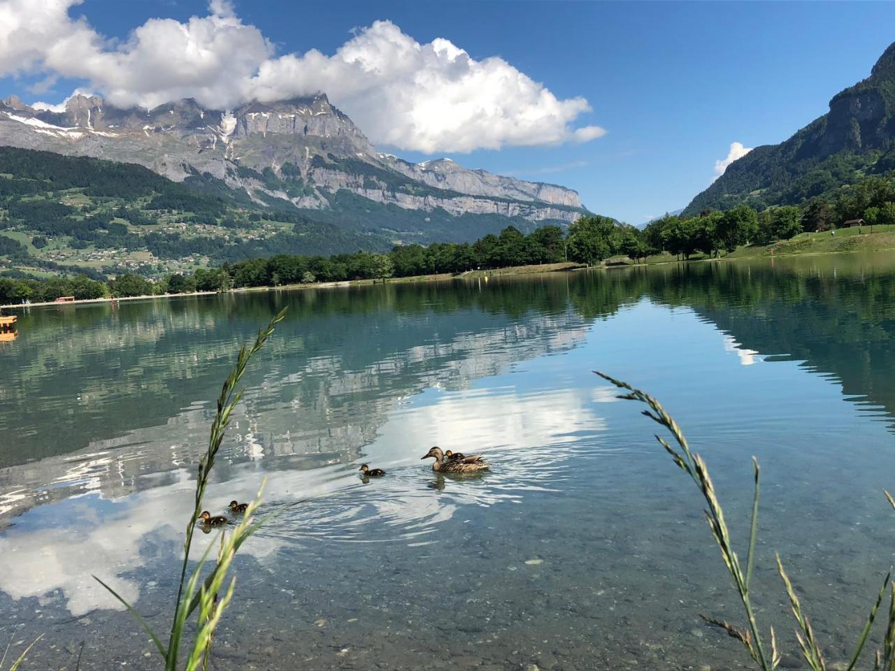 Le Moulin Des Olirics Villa Sallanches Bagian luar foto