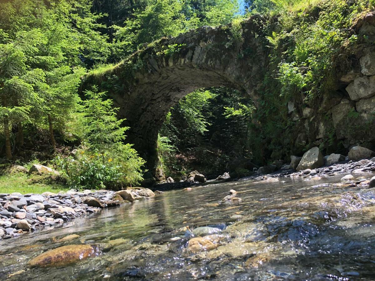 Le Moulin Des Olirics Villa Sallanches Bagian luar foto
