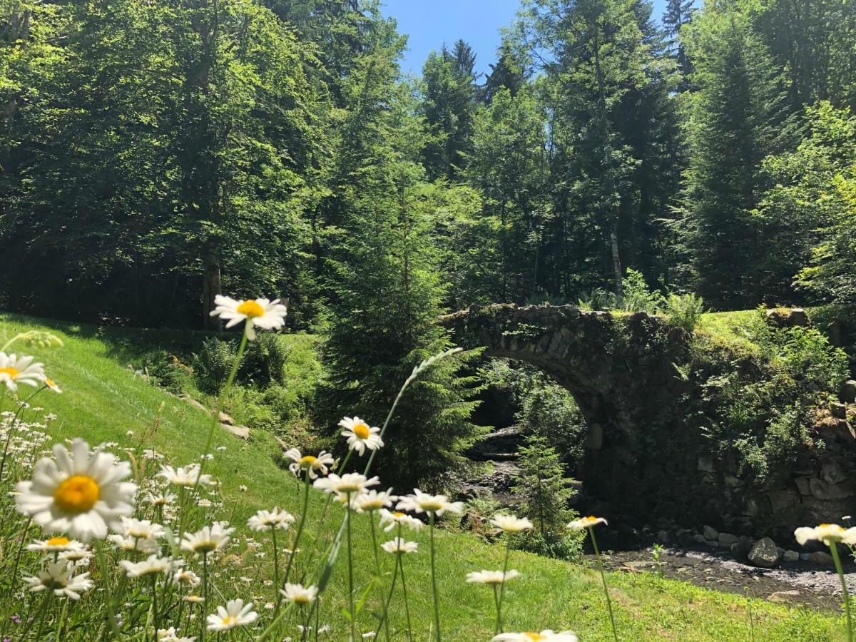 Le Moulin Des Olirics Villa Sallanches Bagian luar foto
