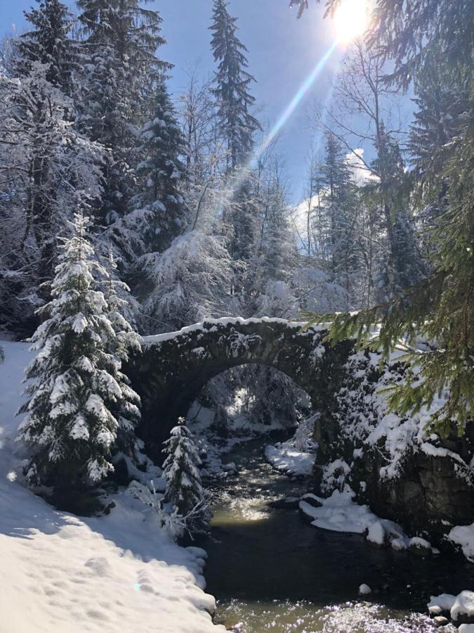 Le Moulin Des Olirics Villa Sallanches Bagian luar foto